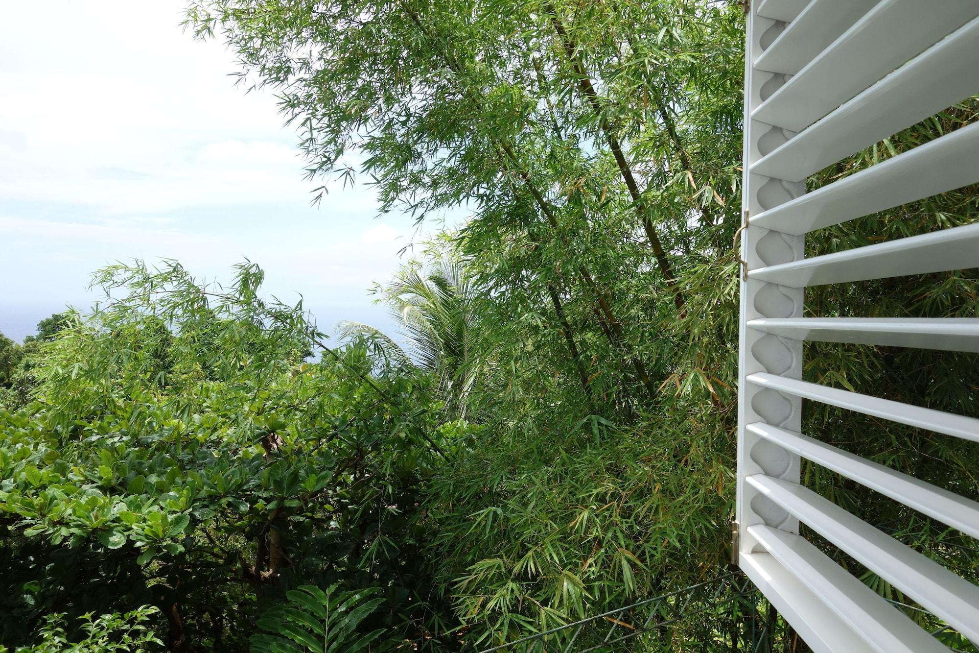 Hotel Mocking Bird Hill Port Antonio Buitenkant foto