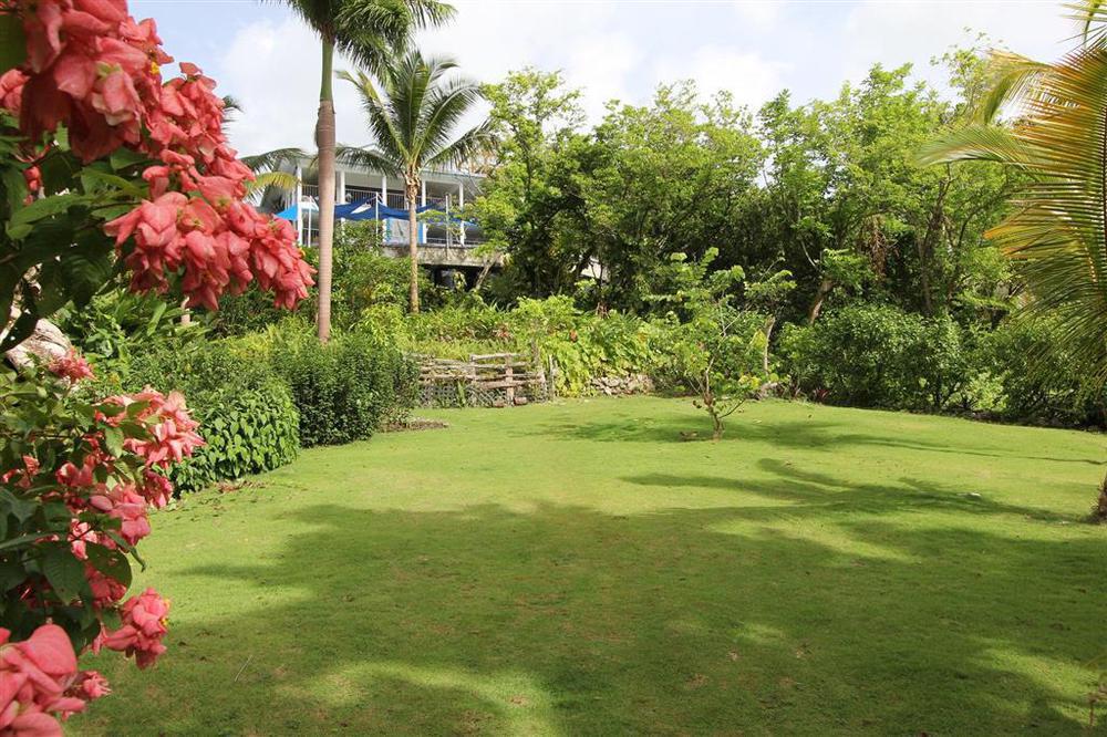 Hotel Mocking Bird Hill Port Antonio Buitenkant foto