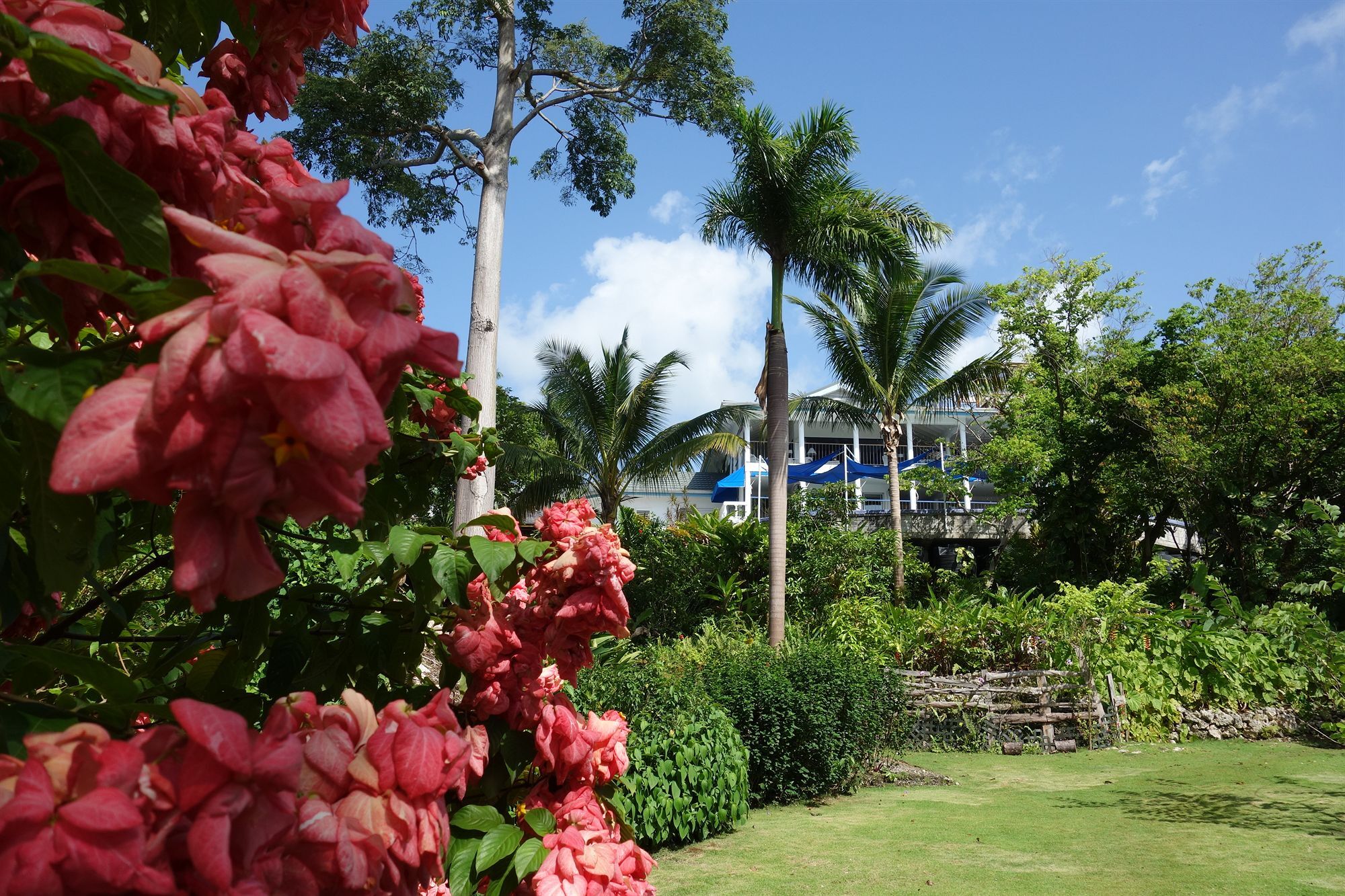 Hotel Mocking Bird Hill Port Antonio Buitenkant foto